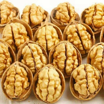 【新货】新疆薄皮纸皮核桃散装原味坚果零食阿克苏批发价