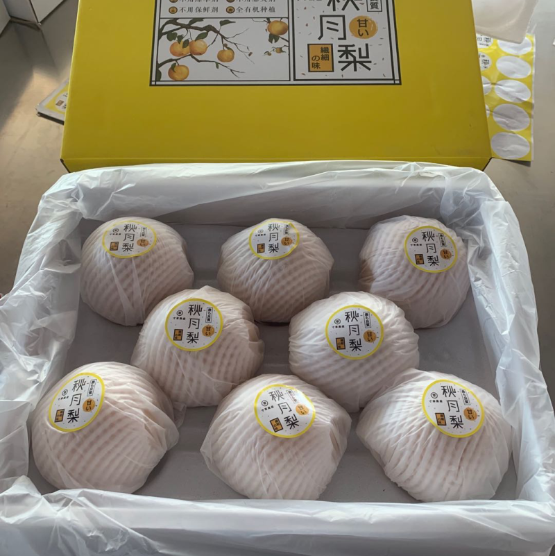 秋月梨基地，专业代收加工储藏，承接各大商超电商市场