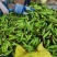 精品白糯玉米，鲜玉米，万糯2000，品质保证，满尖无虫！