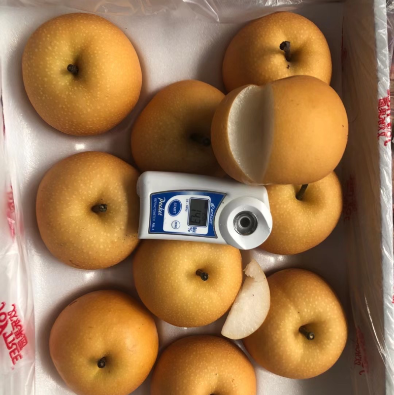 秋月梨，品质好，含糖量高，供电商社区水果团购，超市，市场