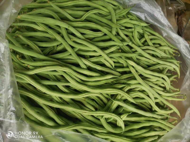 无筋豆