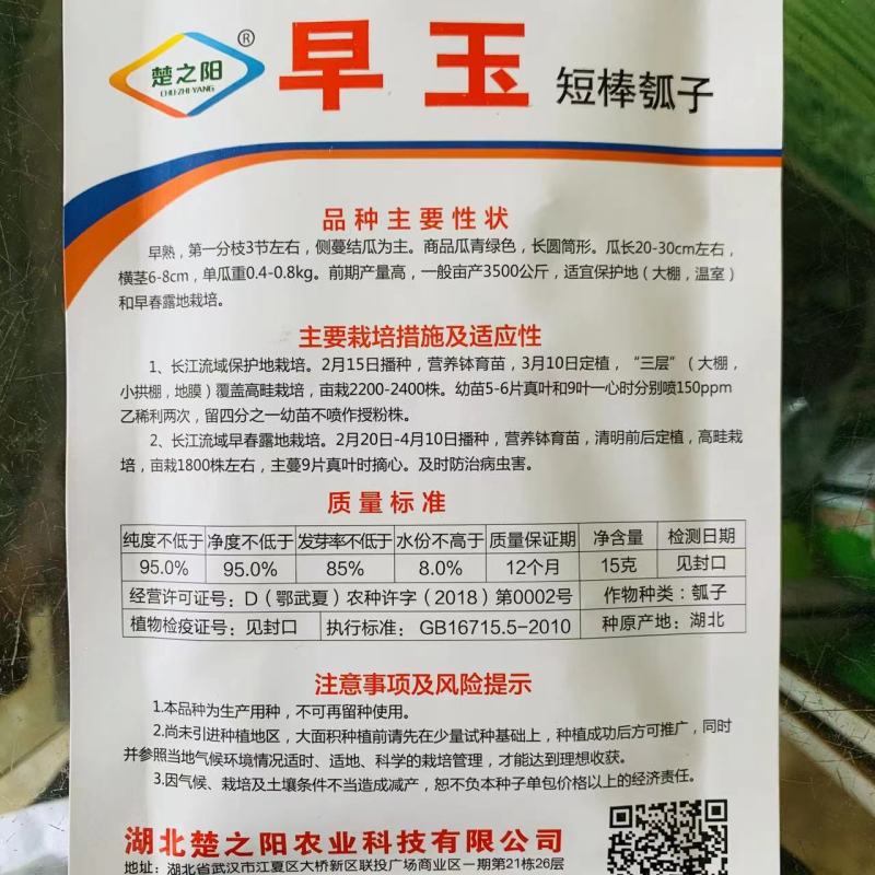 短瓠一号瓠子种子高产厚肉短棒瓠子种子籽菜用蒲瓜春秋种子