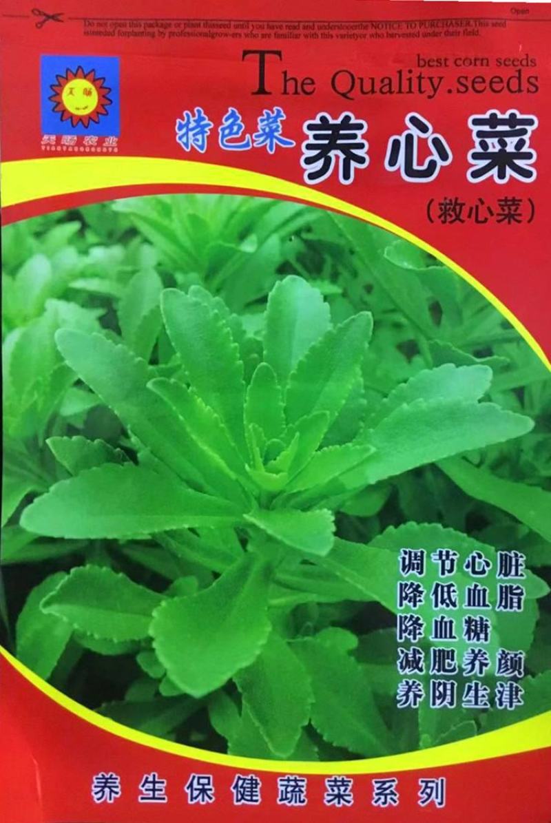 养心菜高钙救心菜种子可食用野菜四季播阳台盆栽特色保健蔬菜