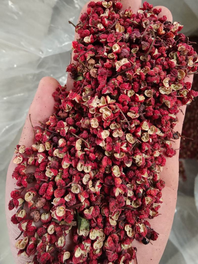 花椒甘肃陇南大红袍伏椒大量供应包邮