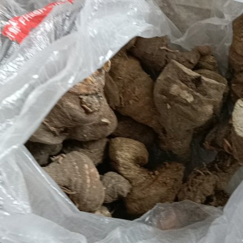 江西野生重楼干货没有水洗的干货今年新货产新