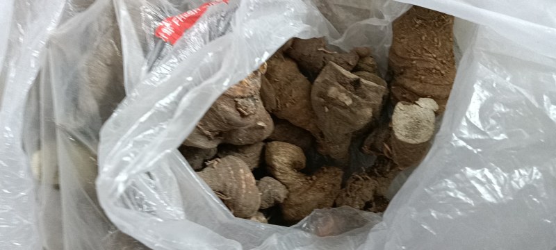 江西野生重楼干货没有水洗的干货今年新货产新