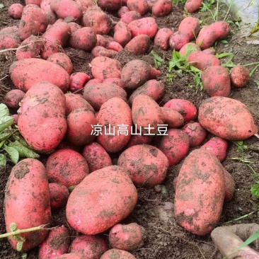 高山️