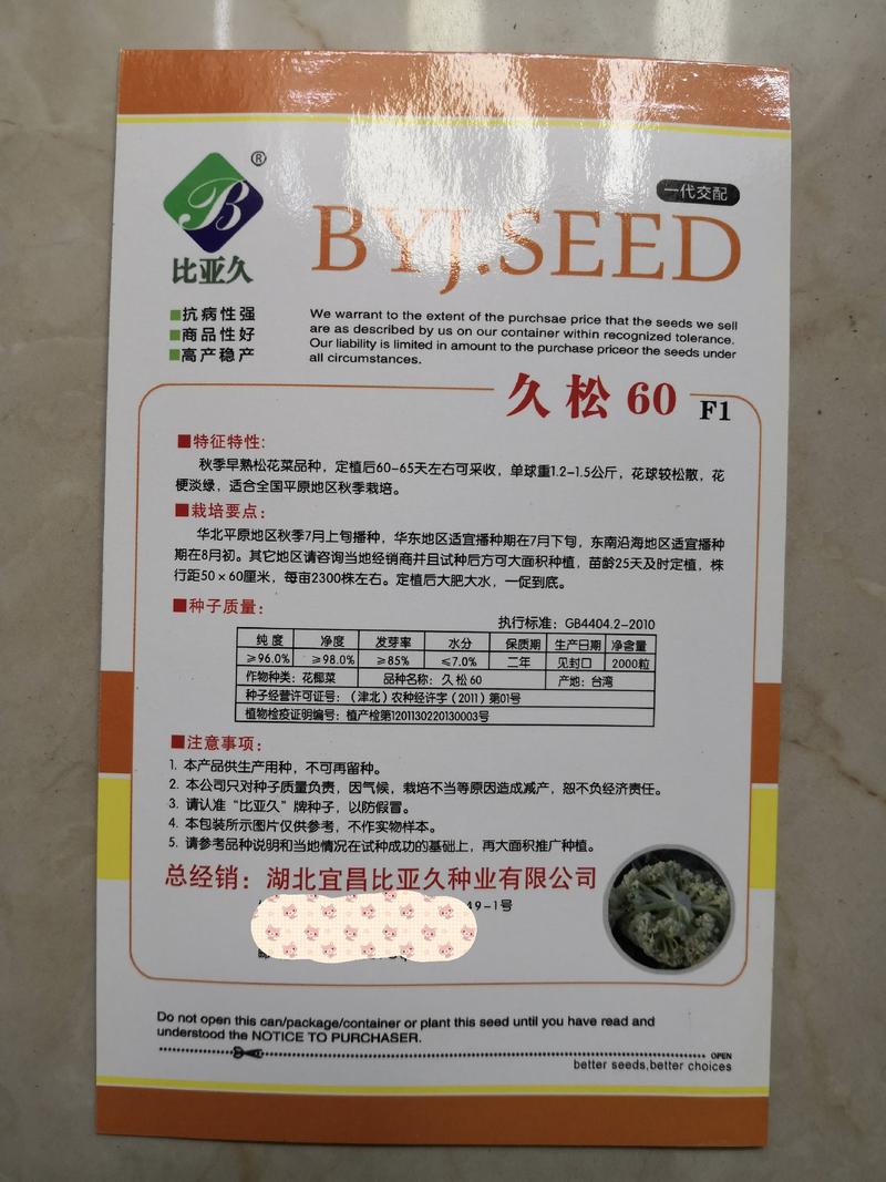 青梗松花菜种子久松60耐热花菜种子台湾质耐寒