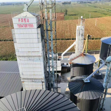冀酿二号糯高粱生产基地大量供应货源充足质量保证