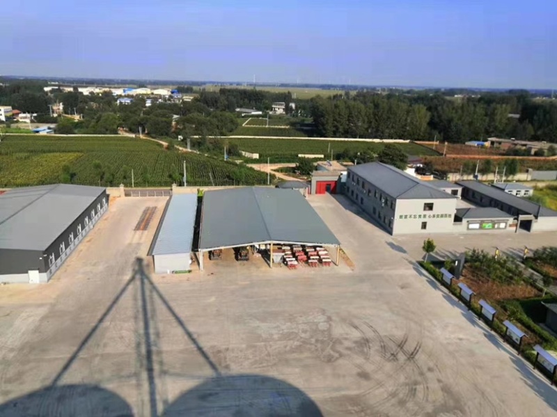 冀酿二号糯高粱生产基地大量供应货源充足质量保证