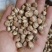 白豆蔻白蔻鲁舜泽中药材商行中药材香辛料