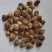 白豆蔻白蔻鲁舜泽中药材商行中药材香辛料