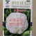 久松65F1花菜种子定植后65天可收单球重1.5公斤半松