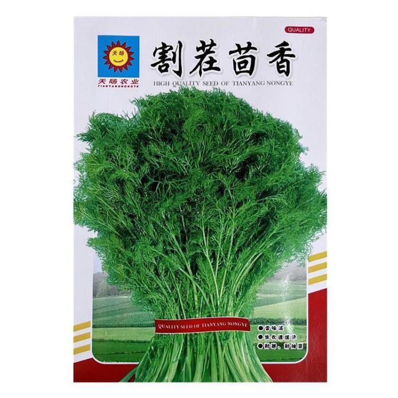 大小茴香种子四季播割茬菜茴香菜籽荤香速生球径阳台农家庭院