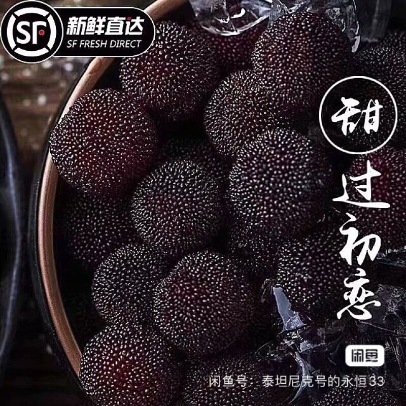 仙居杨梅新鲜水果整箱包邮正宗浙江东魁现摘现发