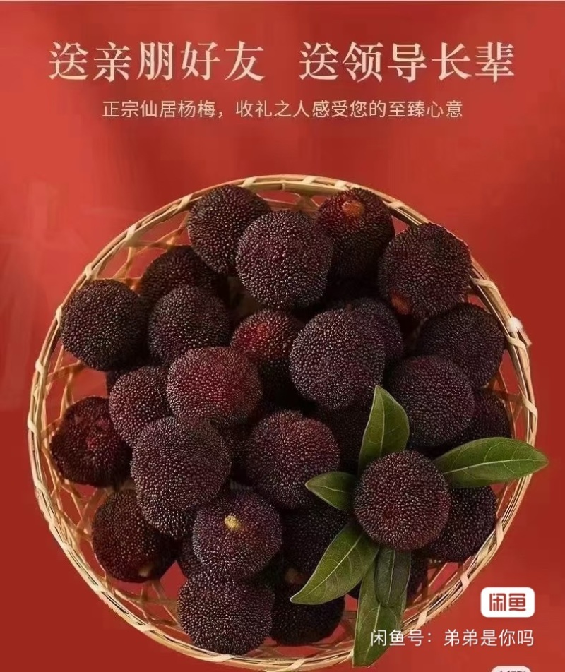 仙居杨梅新鲜水果整箱包邮正宗浙江东魁现摘现发
