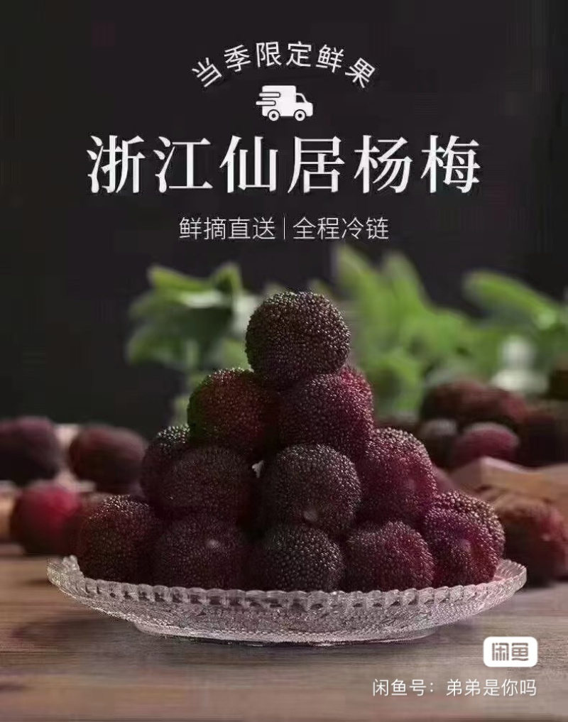 仙居杨梅新鲜水果整箱包邮正宗浙江东魁现摘现发