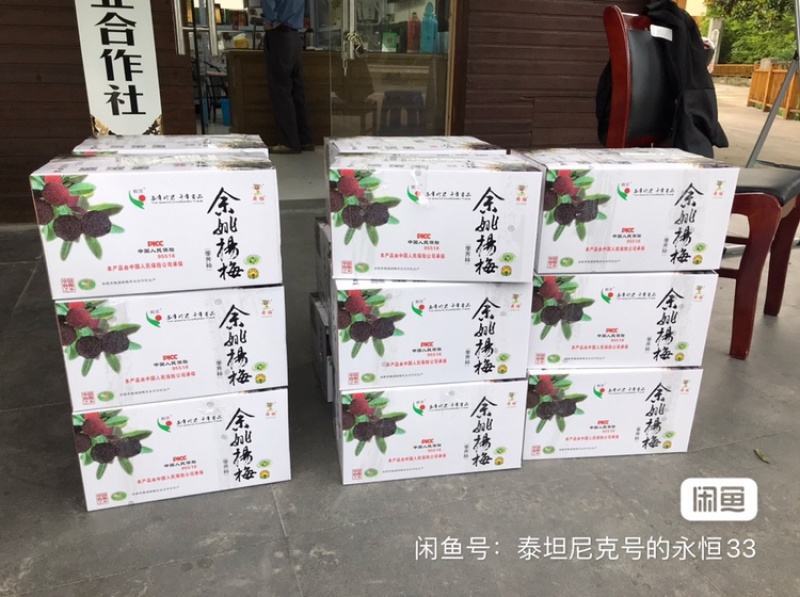 仙居杨梅新鲜水果整箱包邮正宗浙江东魁现摘现发