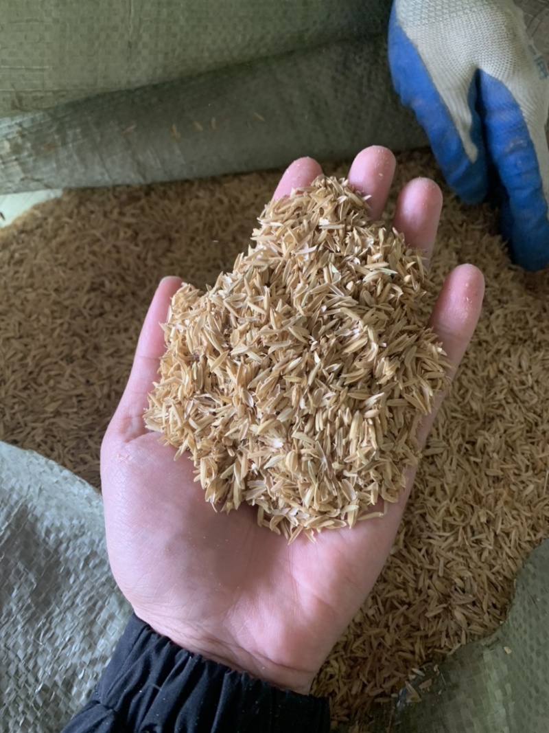 除尘稻壳酿酒专用长期供应