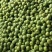四川青脆李又名脱骨李电商货源价低量大新鲜采摘