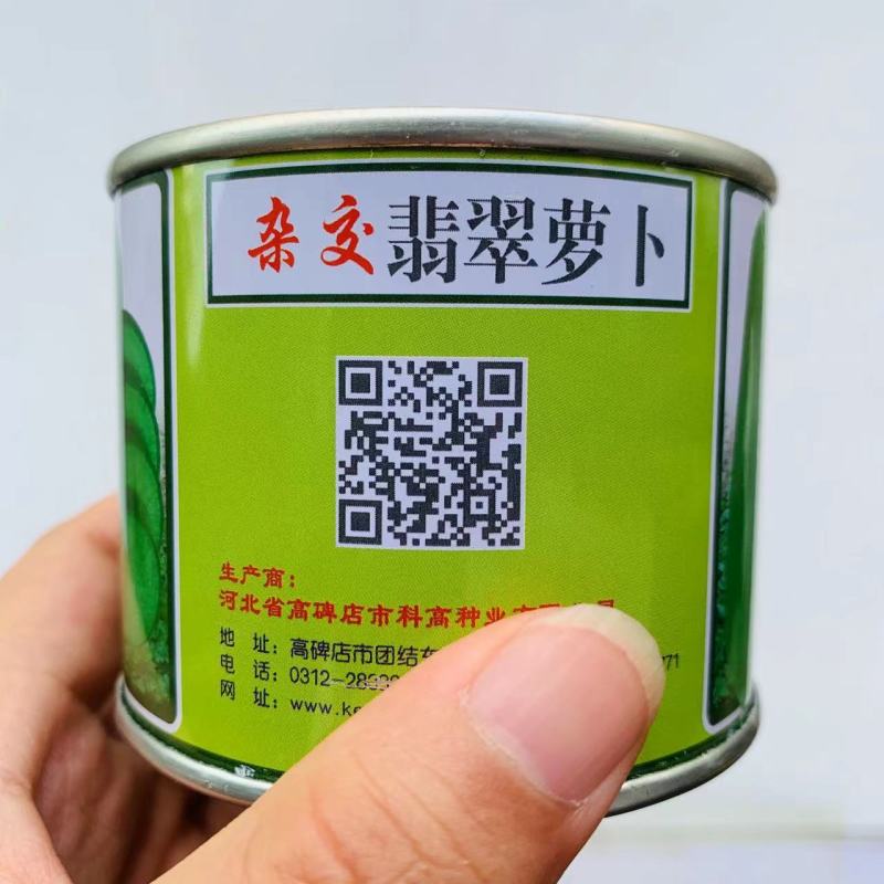 翡翠萝卜种子里外绿色水分多高产优质口感佳水果萝卜种子