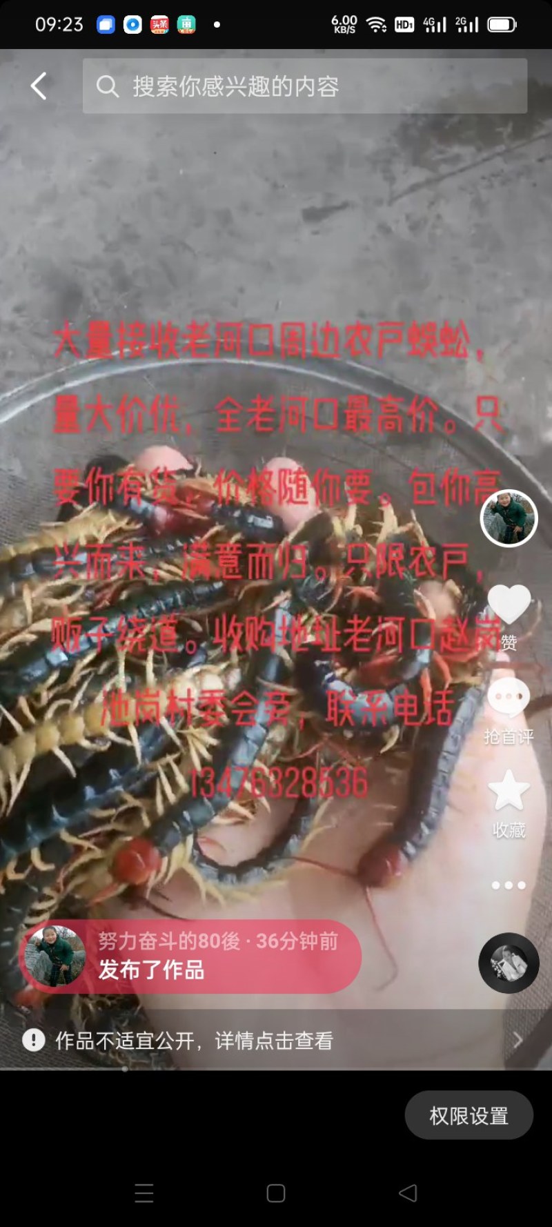 蜈蚣中药材蜈蚣条装货、蜈蚣皮、蜈蚣种苗、产地直销