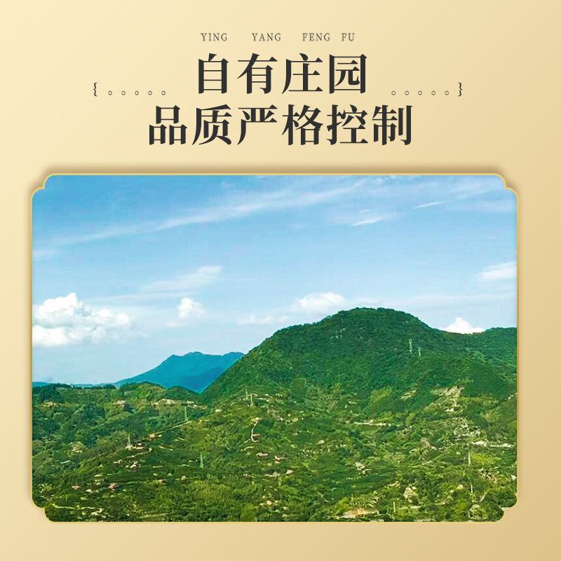 永泰李干福建特产芙蓉李干酸甜零食李子干网红果脯休闲蜜饯