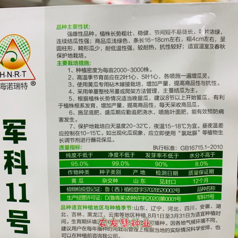 军科十一号春秋冬茬专用杂交一代强雌旱黄瓜水果黄瓜种子