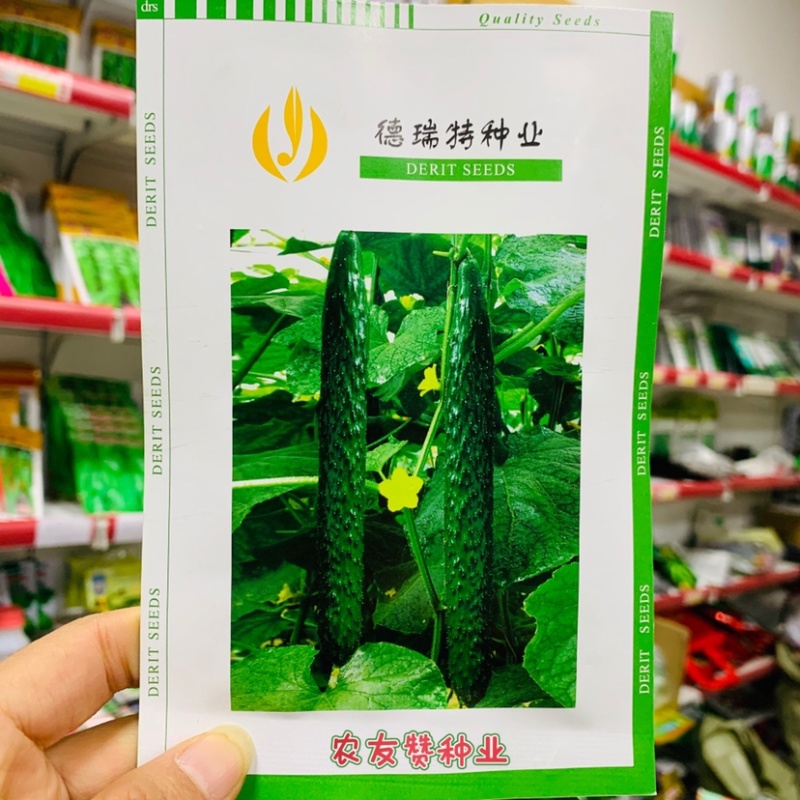 德瑞特博美235黄瓜种子把短条直密刺深绿油亮耐低温水黄瓜