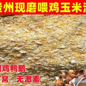 贵州现磨玉米碎玉米渣喂鸡鸭鹅鸽子猪鹌鹑饲料玉米碎渣面糠玉