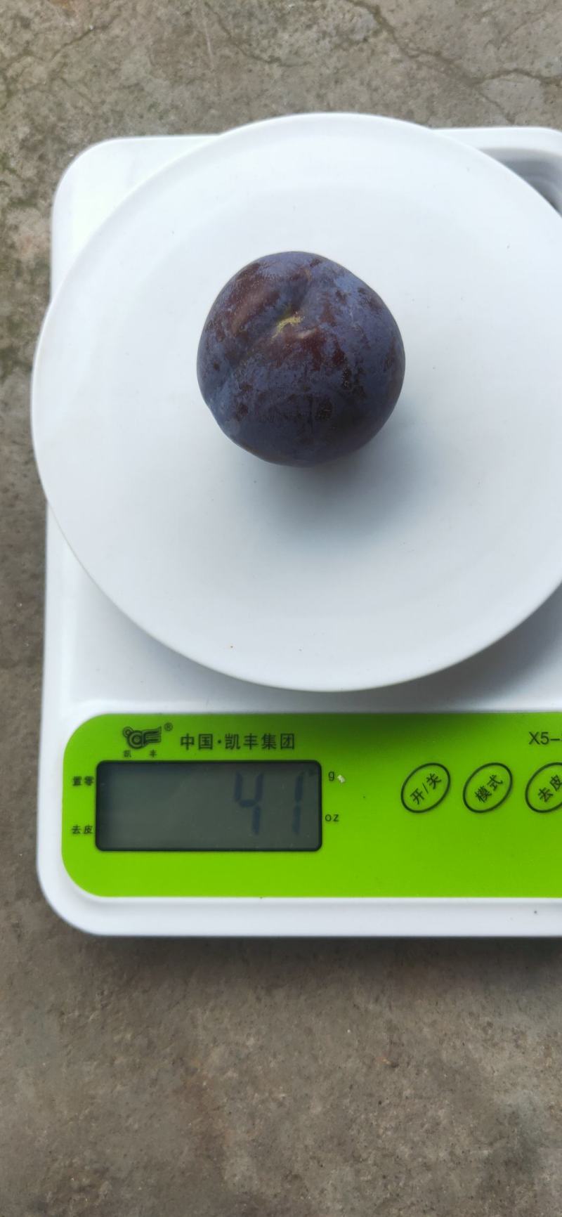 五月脆