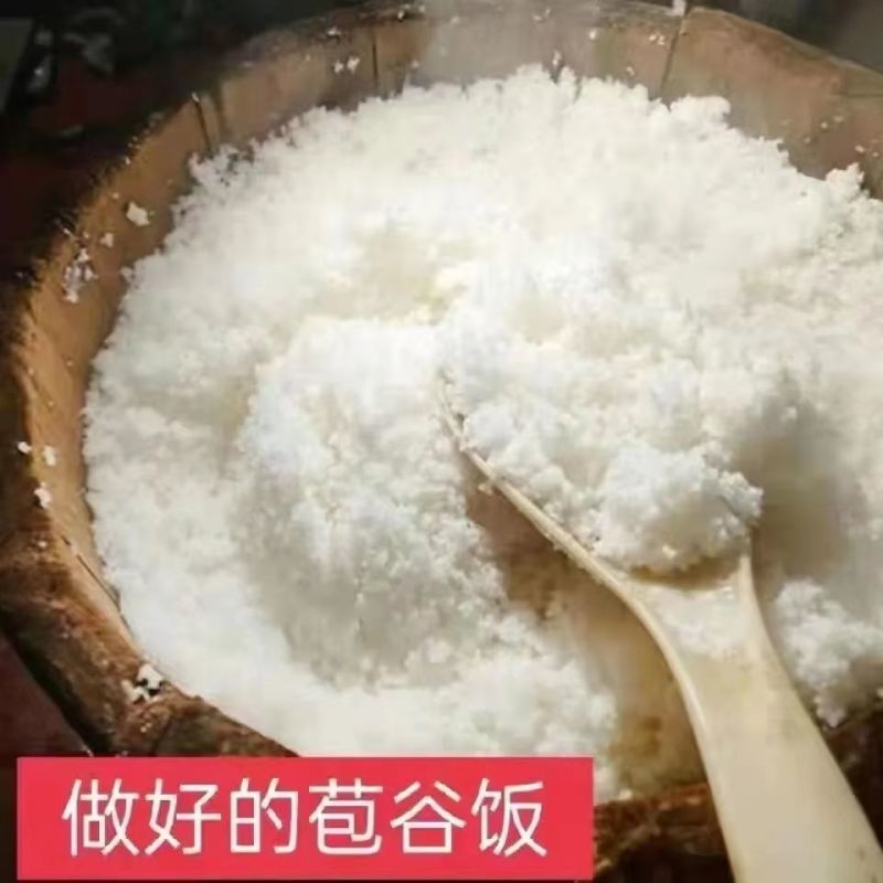 贵州石磨白玉米面包谷面白玉米粉粉棒子面苞谷面苞米面杂粮