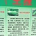 珍玉17号西葫芦种子色油绿有光泽商品性好6000公斤亩