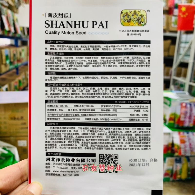 薄皮甜瓜冰糖甜宝甜瓜种子浓香型甜瓜种子，含糖度约18%
