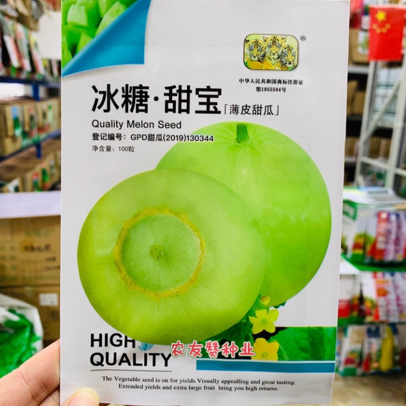 薄皮甜瓜冰糖甜宝甜瓜种子浓香型甜瓜种子，含糖度约18%