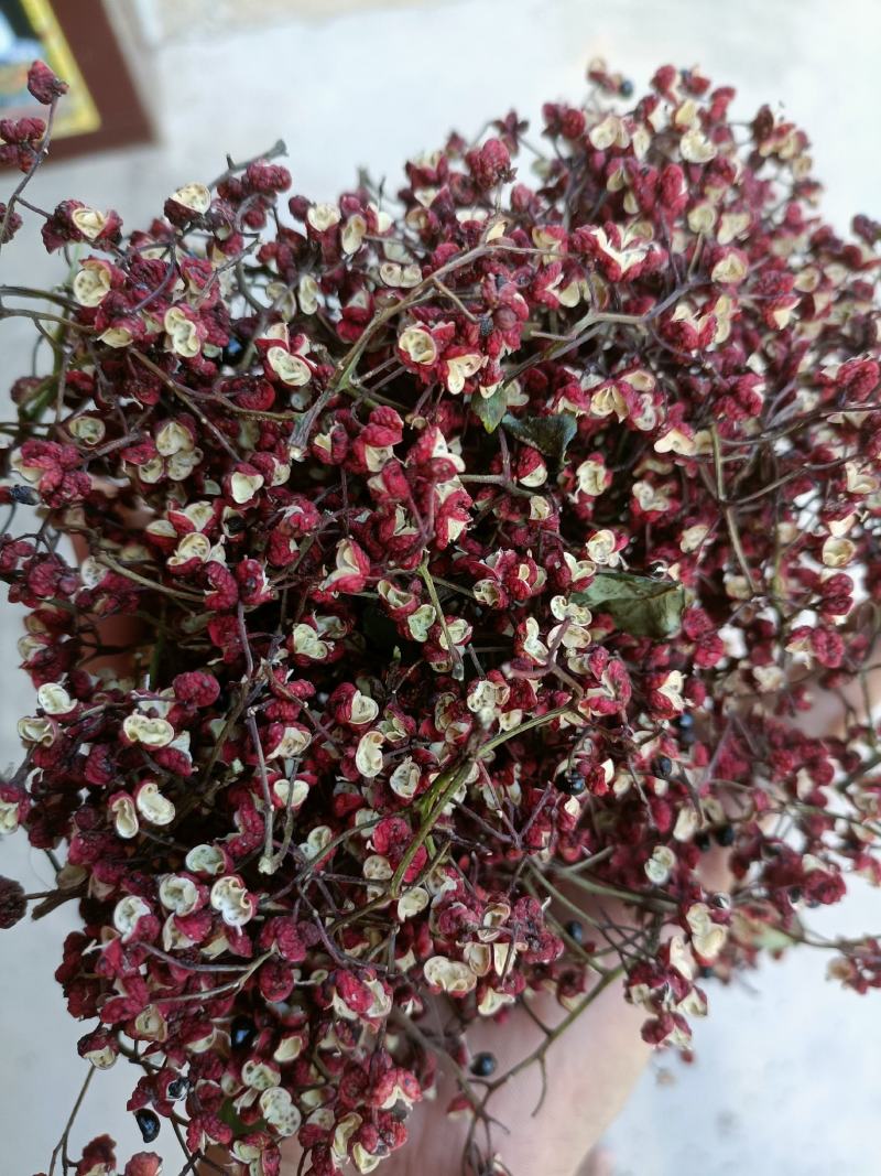 陕西大红袍花椒，干花椒颗粒，红花椒净货，色选货。