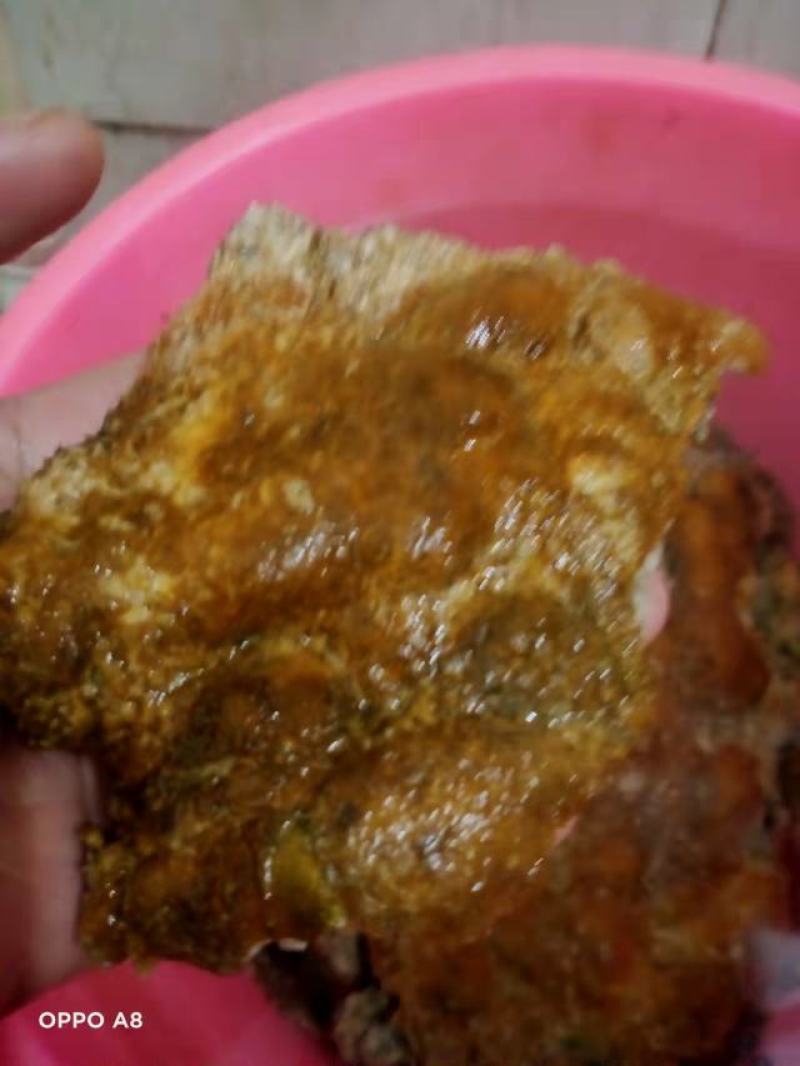 纯野生资源