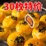 雪媚娘蛋黄酥整箱零食小吃甜品传统糕点早餐点心月饼批发特价