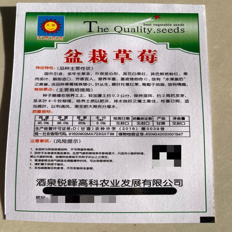 草莓种子四季种植奶油草莓籽四季草莓籽草莓种籽子水果种子