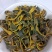 【热销】川黄柏实物拍摄物美价廉重在品质常年有货源