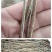 【实力】干海龙海产品干货食材滋补煲汤批发100g