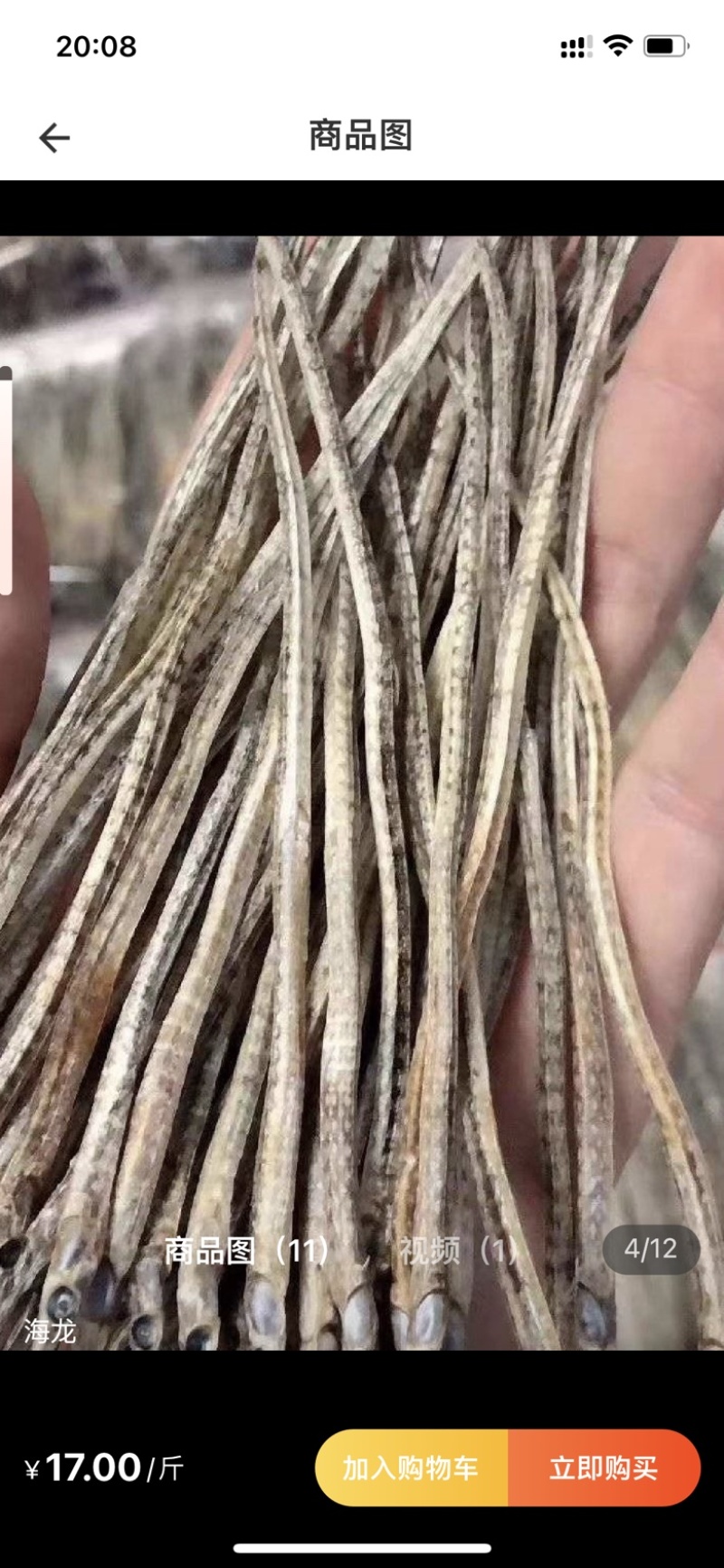 【实力】干海龙海产品干货食材滋补煲汤批发100g