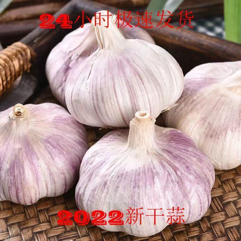 【实力代办】河南开封大蒜全国发货可视频看货量大从