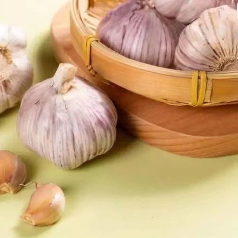 【实力代办】河南开封大蒜全国发货可视频看货量大从