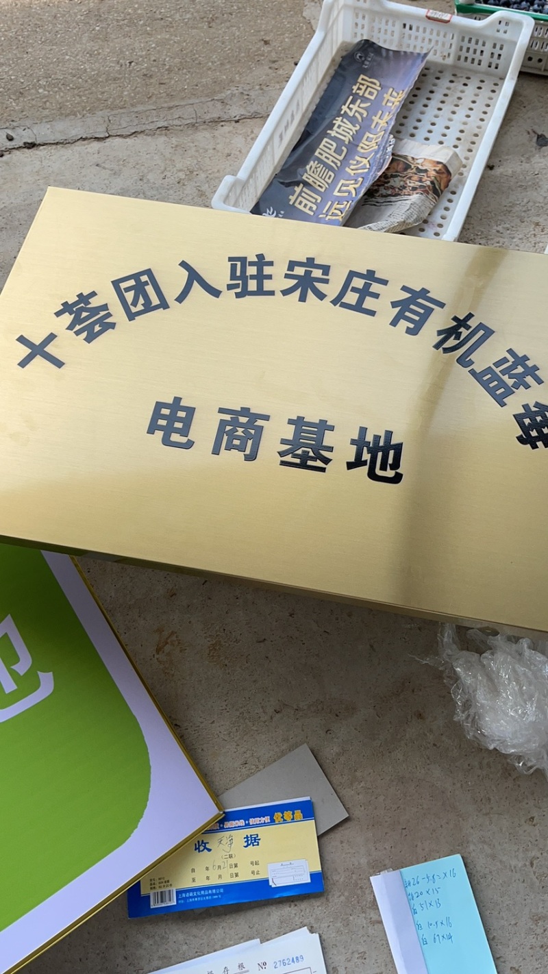 薄雾莱格西奥尼尔大批量上市，专车发货欢迎各地老板前来选购