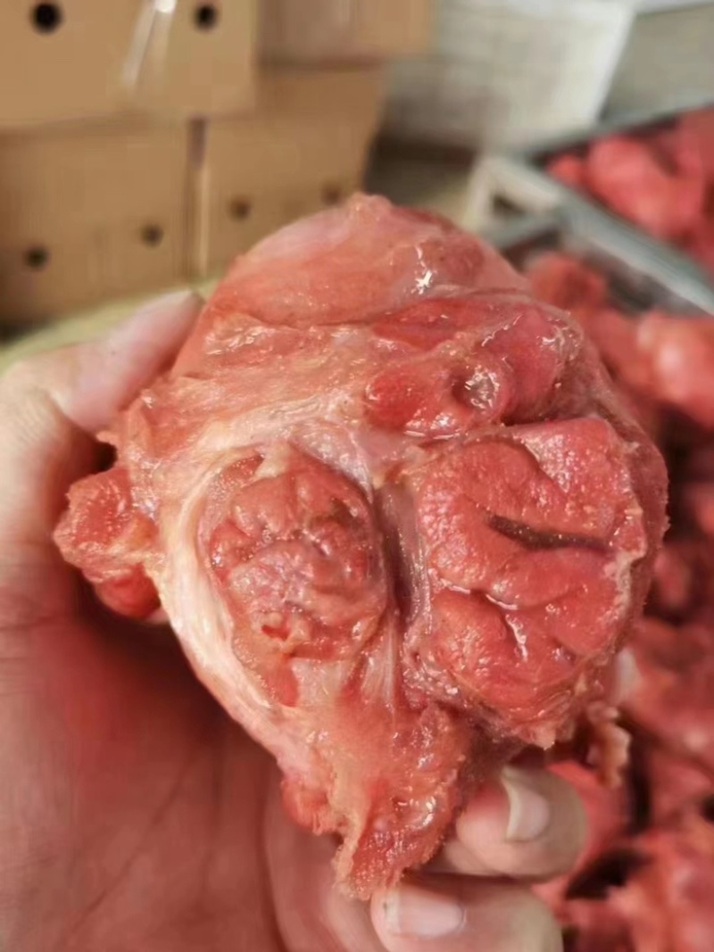 各种猪肉腱牛肉腱子都有（肉类品源头工厂一手货源量大从优）