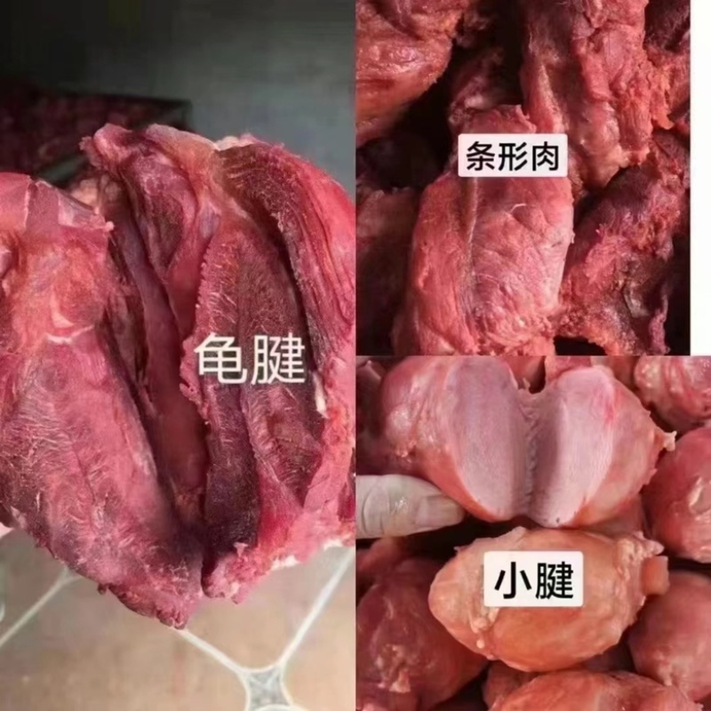 各种猪肉腱牛肉腱子都有（肉类品源头工厂一手货源量大从优）