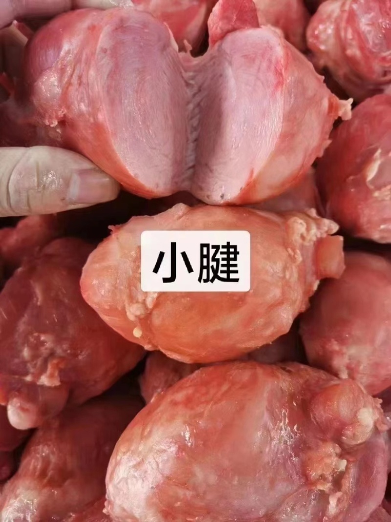 各种猪肉腱牛肉腱子都有（肉类品源头工厂一手货源量大从优）