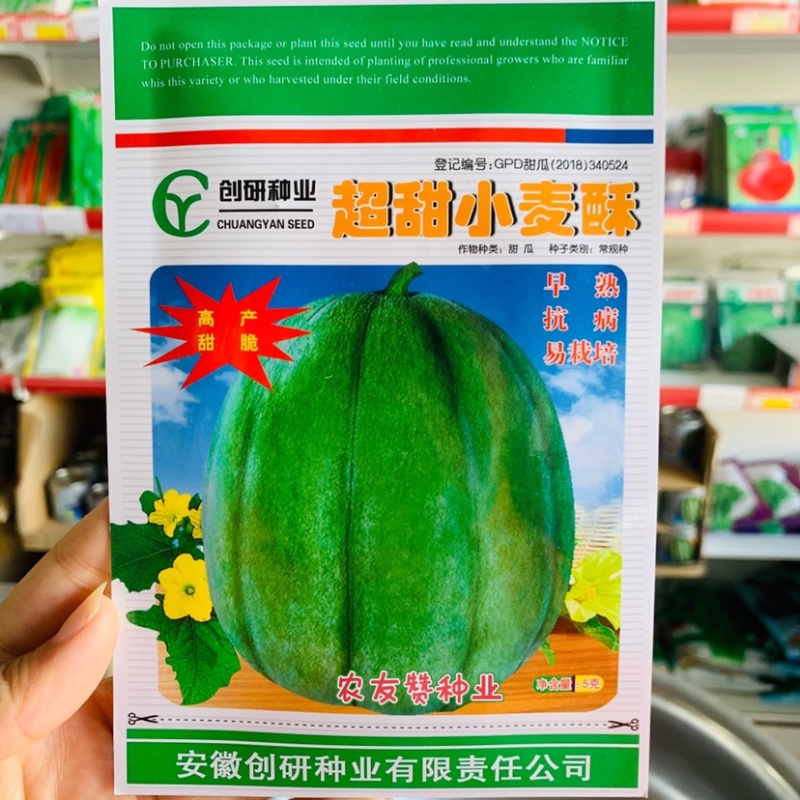 耐重茬甜瓜种子浪潮精品绿花皮甜瓜种籽高产抗病酥脆香甜
