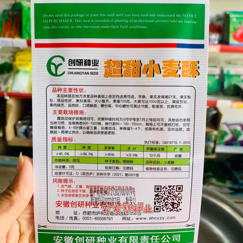 耐重茬甜瓜种子浪潮精品绿花皮甜瓜种籽高产抗病酥脆香甜